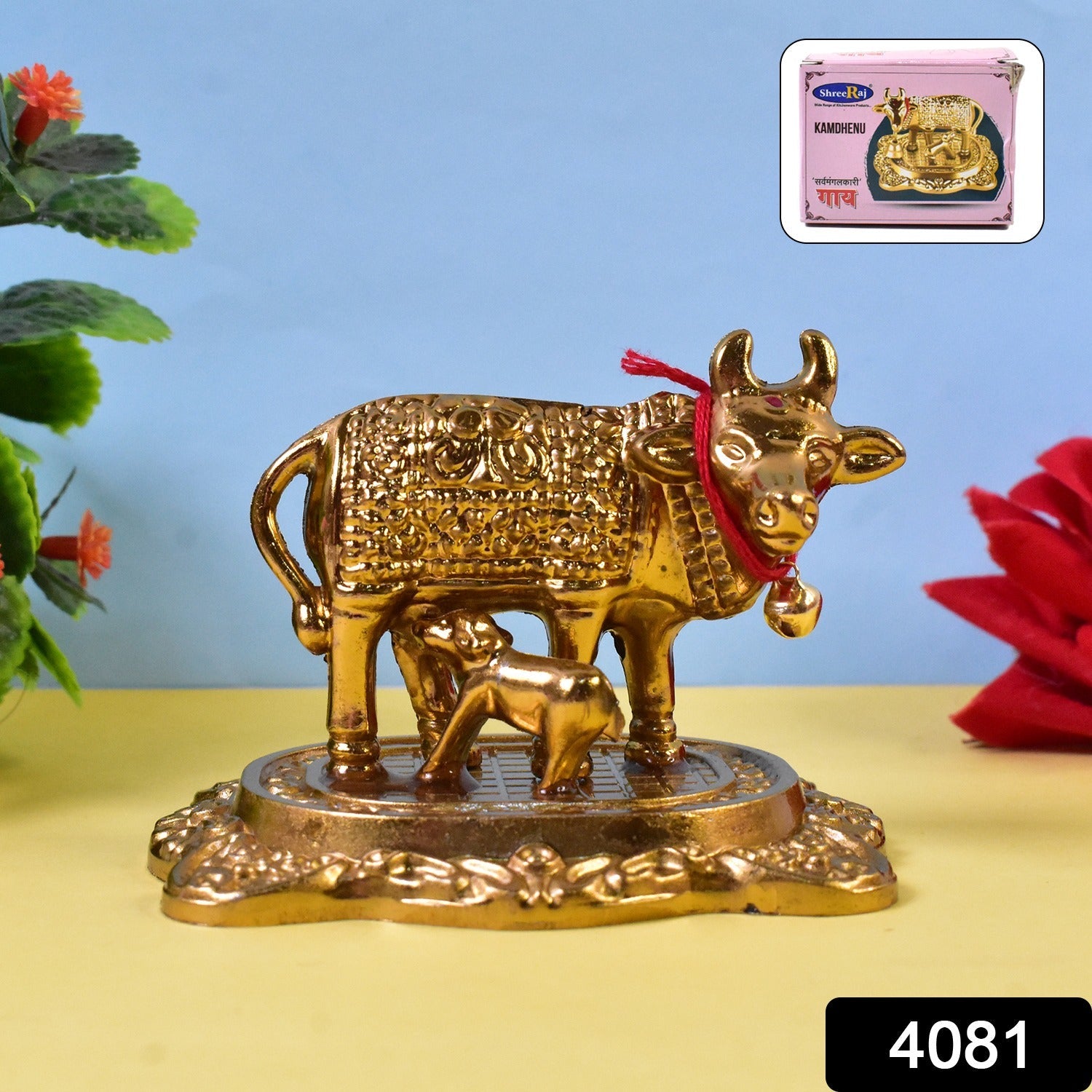 Pavitra Cow